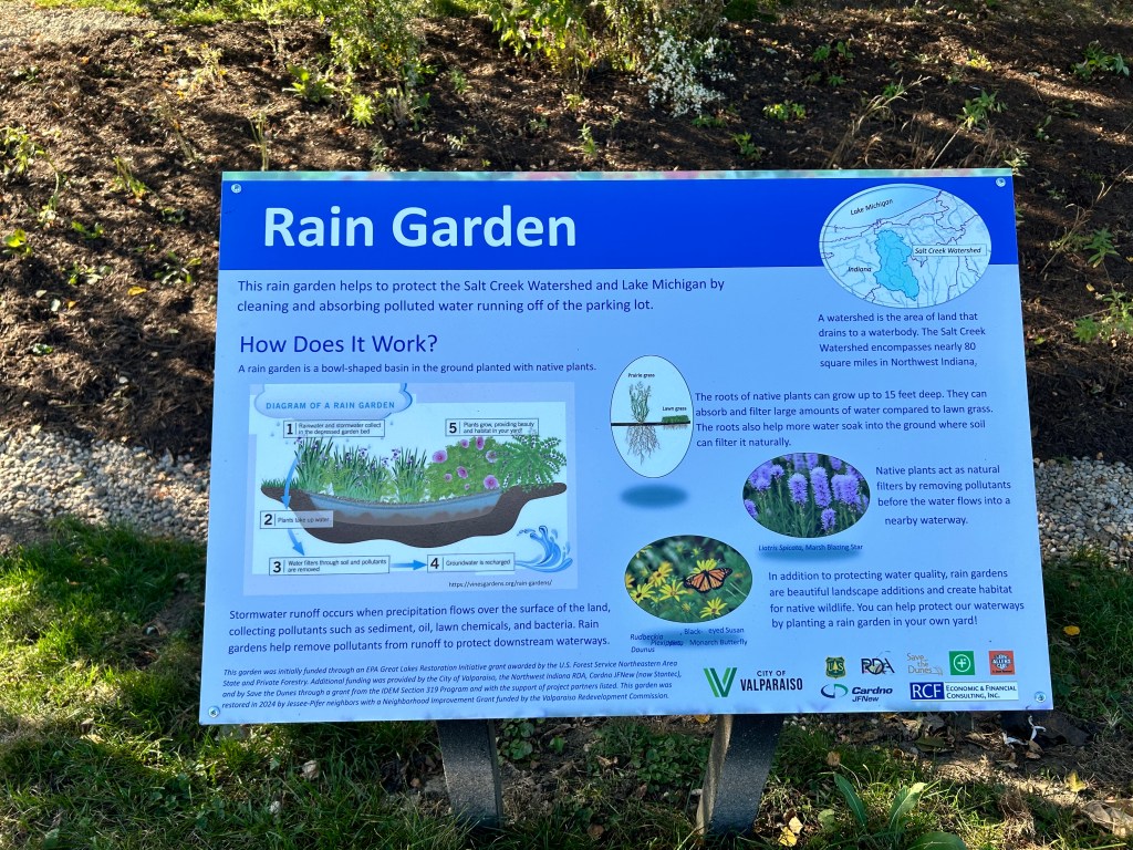 Jessee-Pifer rain garden